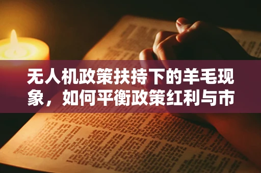 无人机政策扶持下的羊毛现象，如何平衡政策红利与市场规范？