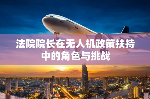 法院院长在无人机政策扶持中的角色与挑战