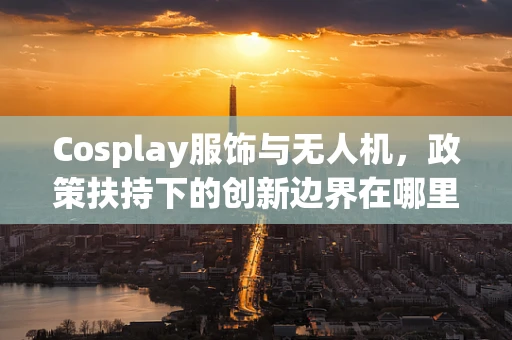 Cosplay服饰与无人机，政策扶持下的创新边界在哪里？