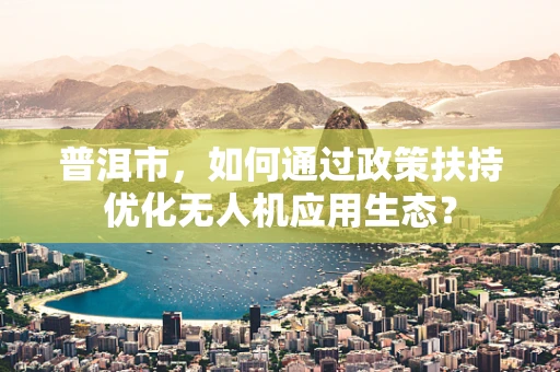 普洱市，如何通过政策扶持优化无人机应用生态？