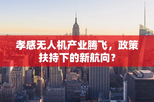 孝感无人机产业腾飞，政策扶持下的新航向？
