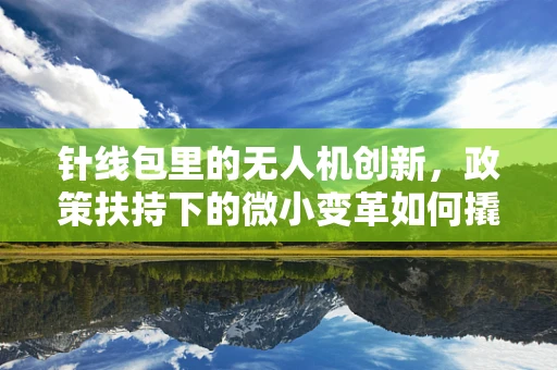 针线包里的无人机创新，政策扶持下的微小变革如何撬动大未来？