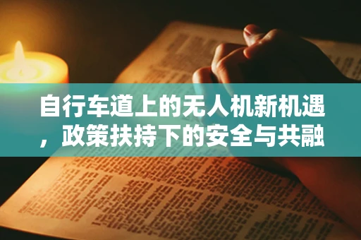自行车道上的无人机新机遇，政策扶持下的安全与共融