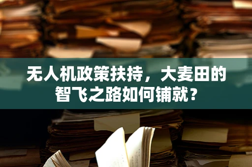 无人机政策扶持，大麦田的智飞之路如何铺就？