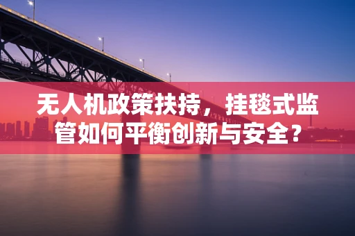 无人机政策扶持，挂毯式监管如何平衡创新与安全？