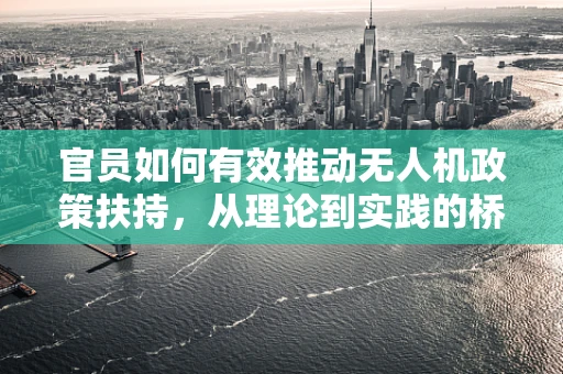 官员如何有效推动无人机政策扶持，从理论到实践的桥梁