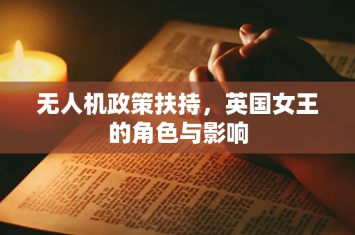 无人机政策扶持，英国女王的角色与影响