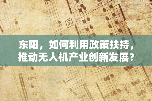 东阳，如何利用政策扶持，推动无人机产业创新发展？