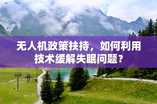 无人机政策扶持，如何利用技术缓解失眠问题？