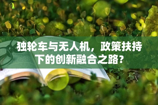 独轮车与无人机，政策扶持下的创新融合之路？