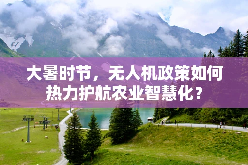 大暑时节，无人机政策如何热力护航农业智慧化？