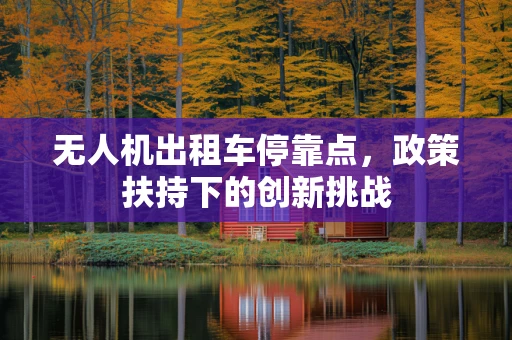 无人机出租车停靠点，政策扶持下的创新挑战