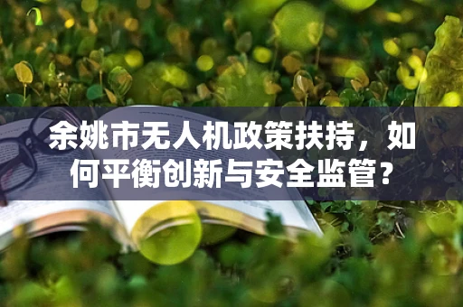 余姚市无人机政策扶持，如何平衡创新与安全监管？
