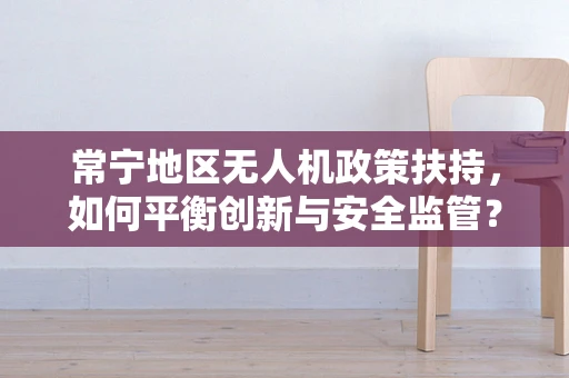 常宁地区无人机政策扶持，如何平衡创新与安全监管？