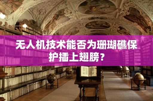无人机技术能否为珊瑚礁保护插上翅膀？
