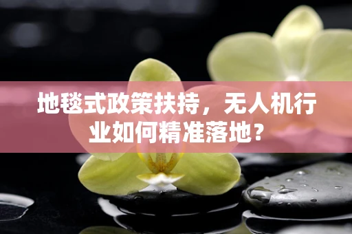 地毯式政策扶持，无人机行业如何精准落地？