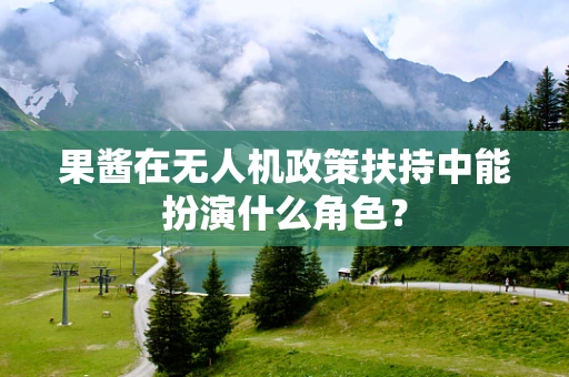 果酱在无人机政策扶持中能扮演什么角色？
