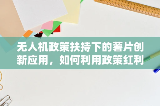 无人机政策扶持下的薯片创新应用，如何利用政策红利推动小型无人机配送薯片新模式？