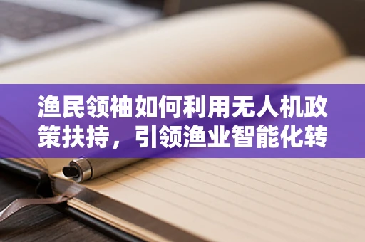 渔民领袖如何利用无人机政策扶持，引领渔业智能化转型？