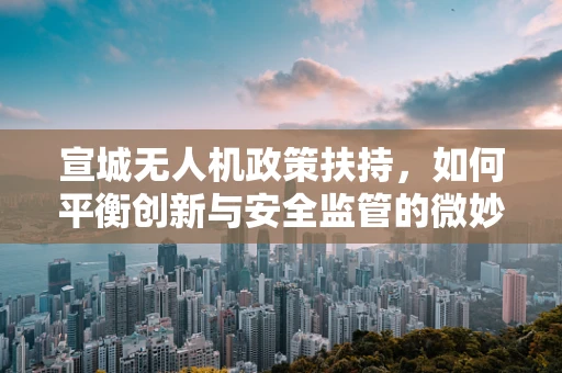 宣城无人机政策扶持，如何平衡创新与安全监管的微妙天平？