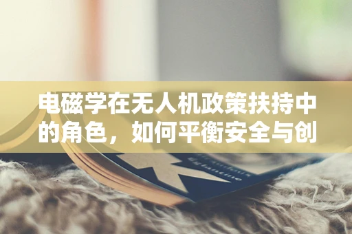电磁学在无人机政策扶持中的角色，如何平衡安全与创新？