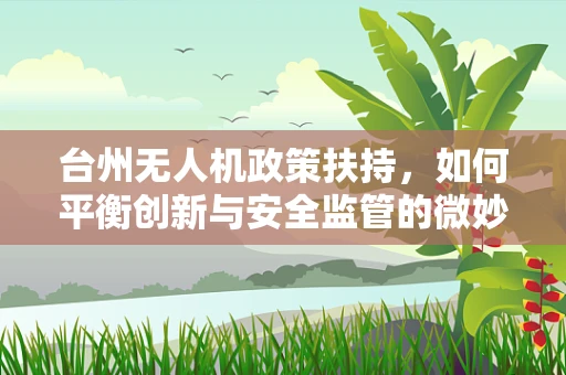 台州无人机政策扶持，如何平衡创新与安全监管的微妙平衡？