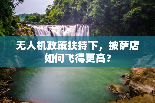 无人机政策扶持下，披萨店如何飞得更高？