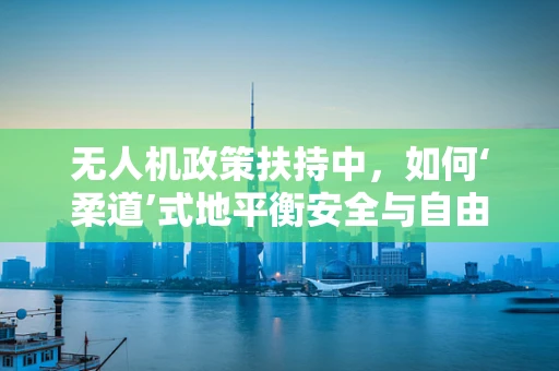 无人机政策扶持中，如何‘柔道’式地平衡安全与自由？