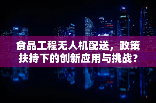 食品工程无人机配送，政策扶持下的创新应用与挑战？