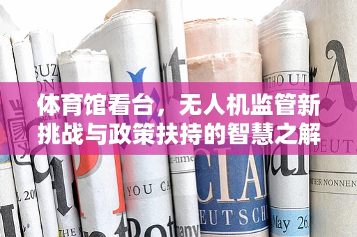 体育馆看台，无人机监管新挑战与政策扶持的智慧之解？