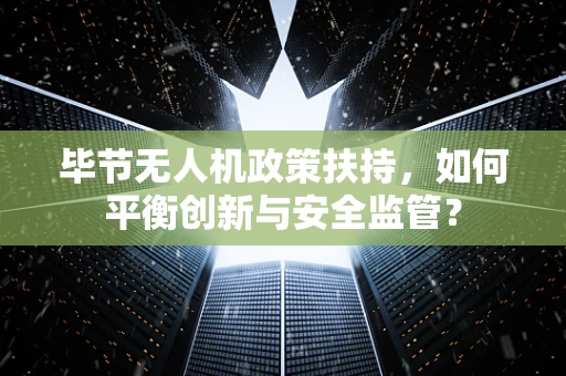 毕节无人机政策扶持，如何平衡创新与安全监管？