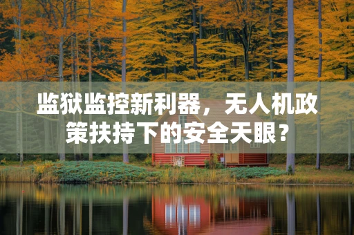 监狱监控新利器，无人机政策扶持下的安全天眼？