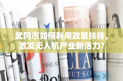 武冈市如何利用政策扶持，激发无人机产业新活力？