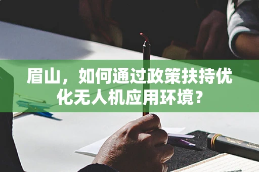 眉山，如何通过政策扶持优化无人机应用环境？
