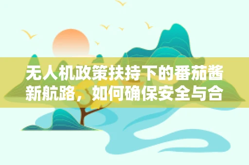 无人机政策扶持下的番茄酱新航路，如何确保安全与合规？