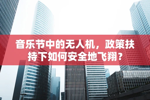 音乐节中的无人机，政策扶持下如何安全地飞翔？