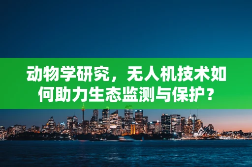 动物学研究，无人机技术如何助力生态监测与保护？