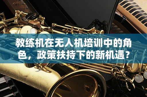 教练机在无人机培训中的角色，政策扶持下的新机遇？