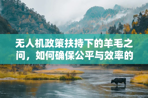 无人机政策扶持下的羊毛之问，如何确保公平与效率的平衡？