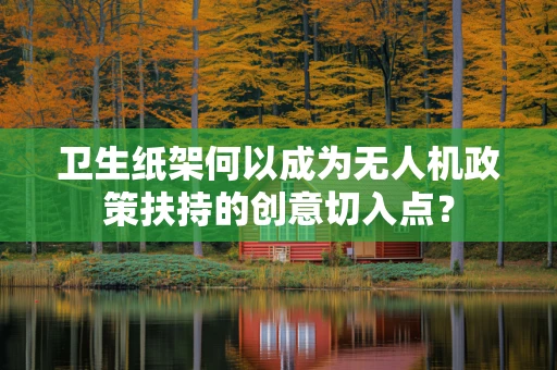卫生纸架何以成为无人机政策扶持的创意切入点？
