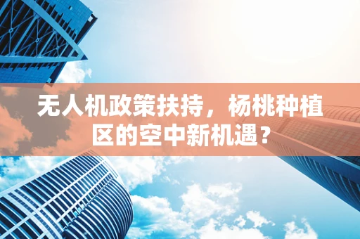 无人机政策扶持，杨桃种植区的空中新机遇？