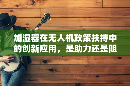 加湿器在无人机政策扶持中的创新应用，是助力还是阻碍？