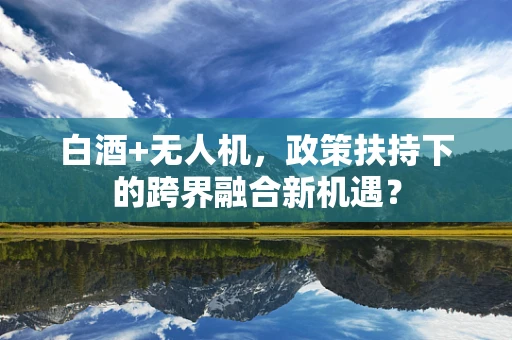 白酒+无人机，政策扶持下的跨界融合新机遇？