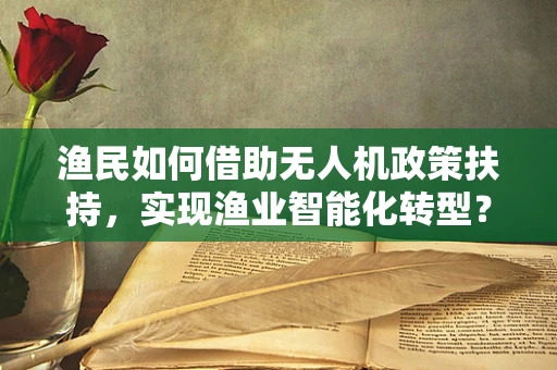 渔民如何借助无人机政策扶持，实现渔业智能化转型？