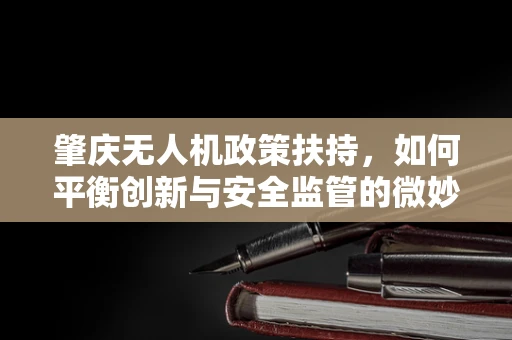 肇庆无人机政策扶持，如何平衡创新与安全监管的微妙关系？