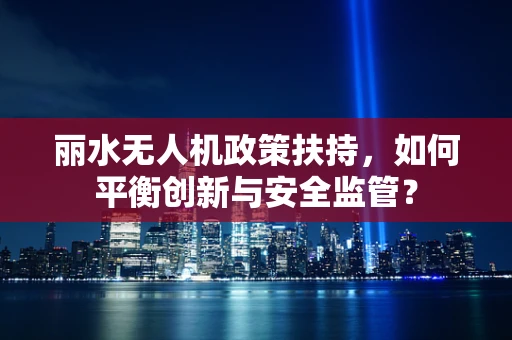 丽水无人机政策扶持，如何平衡创新与安全监管？