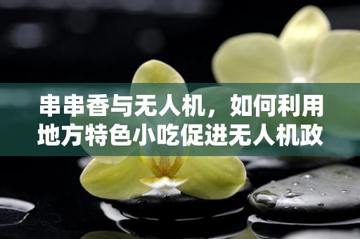 串串香与无人机，如何利用地方特色小吃促进无人机政策创新？