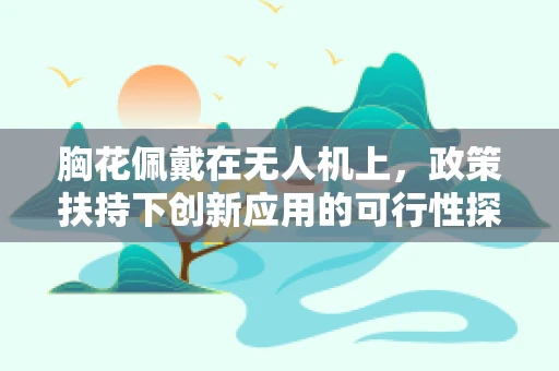 胸花佩戴在无人机上，政策扶持下创新应用的可行性探讨