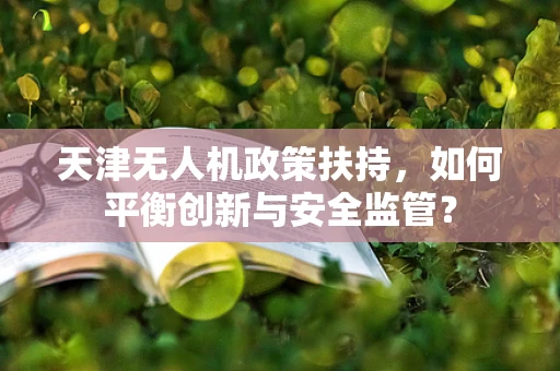 天津无人机政策扶持，如何平衡创新与安全监管？