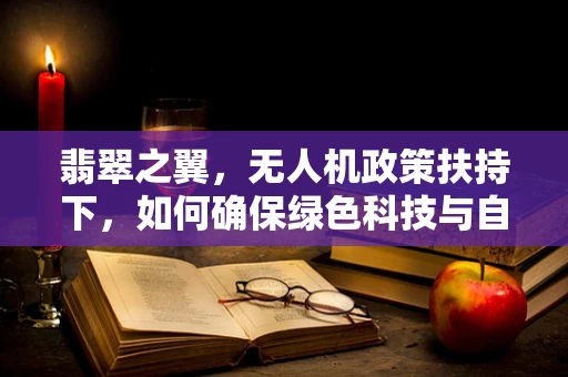 翡翠之翼，无人机政策扶持下，如何确保绿色科技与自然美景的和谐共生？